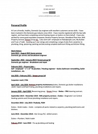 Example - Curriculum Vitae