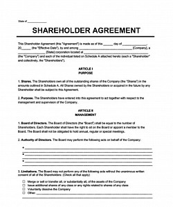Shareholder agreement